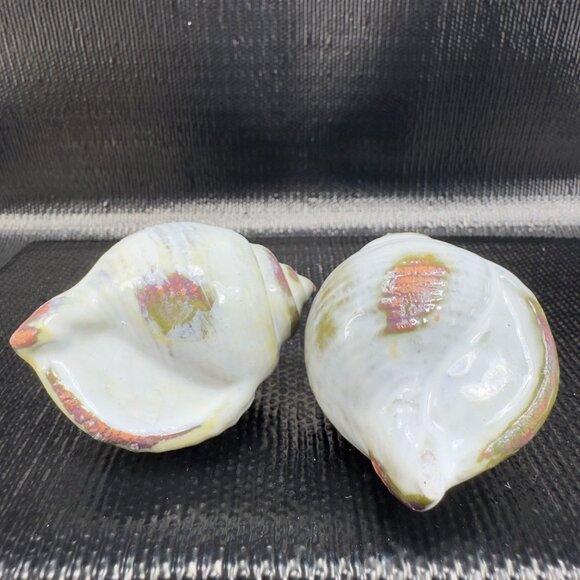 Hand Made Card Holder Stoneware Shell Conch Set 2 Decorative Hand Crafted Figure - Picture 11 of 12
